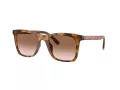 Coach Ch561 HC 8374U 512013 51 Women sunglasses
