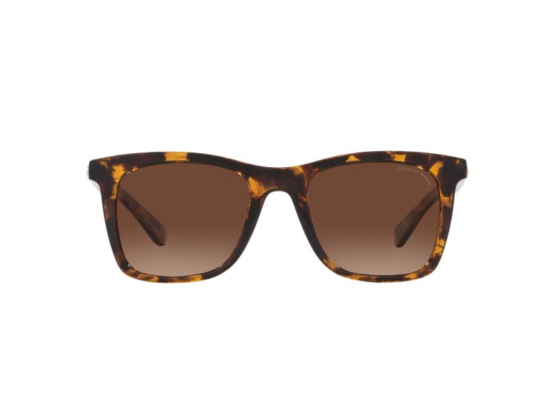 Coach Ch561 HC 8374U 5120T5 51 Women sunglasses