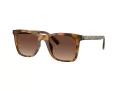 Coach Ch561 HC 8374U 5120T5 51 Women sunglasses