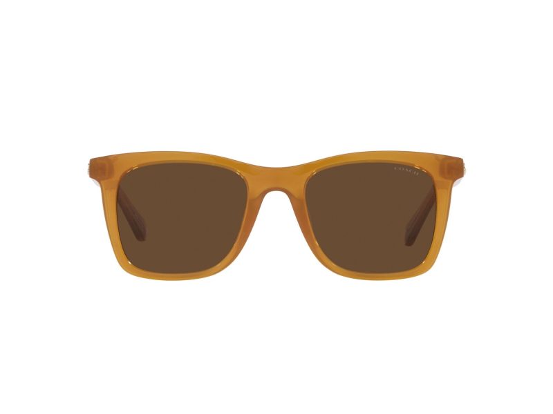 Coach Ch561 HC 8374U 57483G 51 Women sunglasses