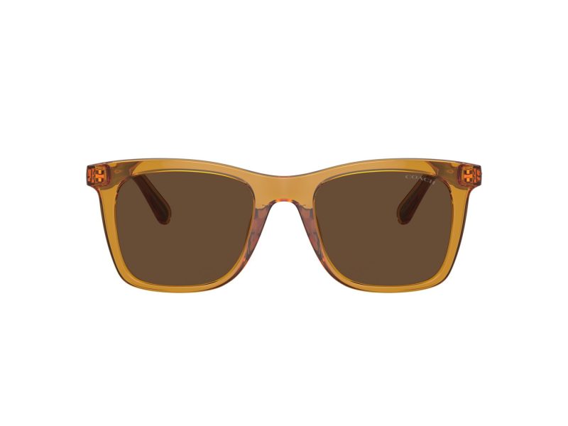 Coach Ch561 HC 8374U 57483G 51 Women sunglasses