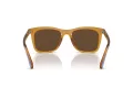 Coach Ch561 HC 8374U 57483G 51 Women sunglasses