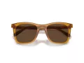 Coach Ch561 HC 8374U 57483G 51 Women sunglasses