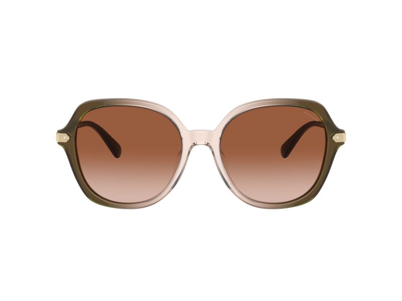 Coach Cl925 HC 8377U 540013 55 Women sunglasses