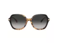 Coach Cl925 HC 8377U 577613 55 Women sunglasses