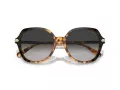 Coach Cl925 HC 8377U 577613 55 Women sunglasses