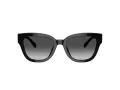 Coach Cl920 HC 8379U 5002T3 54 Women sunglasses
