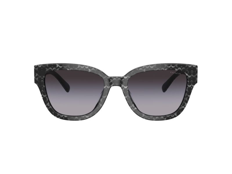 Coach Cl920 HC 8379U 55208G 54 Women sunglasses