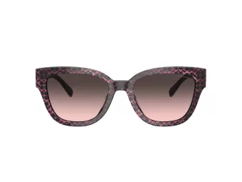 Coach Cl920 HC 8379U 578346 54 Women sunglasses