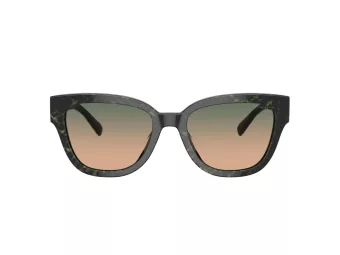 Coach Cl920 HC 8379U 578413 54 Women sunglasses