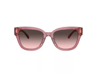 Coach Cl920 HC 8379U 580046 54 Women sunglasses