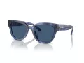 Coach Cl920 HC 8379U 583755 54 Women sunglasses