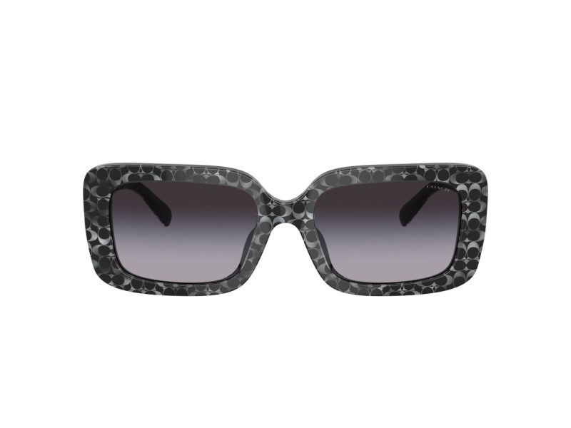 Coach Cl922 HC 8380U 55208G 54 Women sunglasses