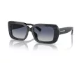 Coach Cl922 HC 8380U 57654L 54 Women sunglasses