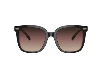 Coach Cl918 HC 8381U 5781E2 54 Women sunglasses
