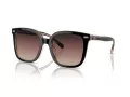 Coach Cl918 HC 8381U 5781E2 54 Women sunglasses