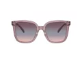 Coach Cl918 HC 8381U 57820J 54 Women sunglasses