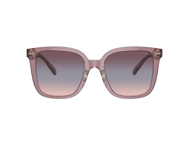 Coach Cl918 HC 8381U 57820J 54 Women sunglasses