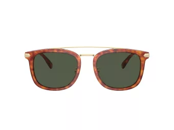Coach Cl913 HC 8382 577482 53 Men sunglasses