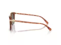 Coach Cl913 HC 8382 577482 53 Men sunglasses