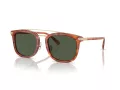 Coach Cl913 HC 8382 577482 53 Men sunglasses