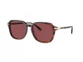 Coach Cl912 HC 8383U 579875 55 Men sunglasses