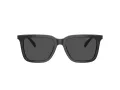 Coach Cl910 HC 8385U 579387 54 Men sunglasses