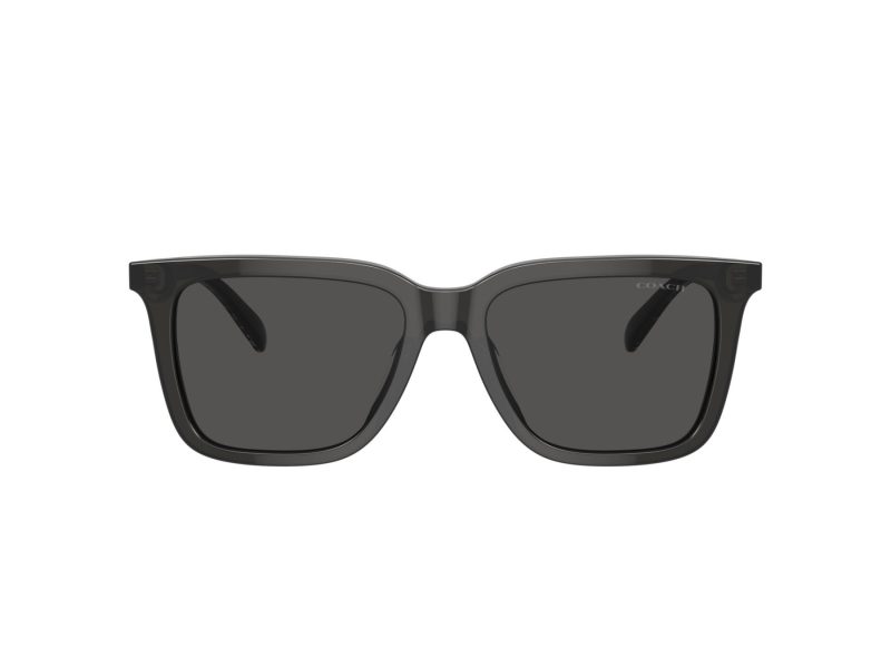 Coach Cl910 HC 8385U 579387 54 Men sunglasses