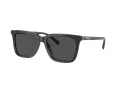 Coach Cl910 HC 8385U 579387 54 Men sunglasses