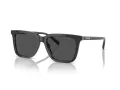 Coach Cl910 HC 8385U 579387 54 Men sunglasses