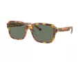 Coach Cl914 HC 8388U 57563H 56 Men sunglasses