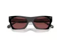Coach Cl917 HC 8389U 572875 52 Women sunglasses