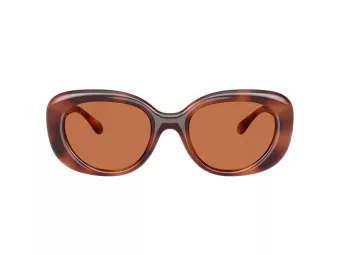 Coach Cr609 HC 8391U 577473 53 Women sunglasses