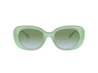 Coach Cr609 HC 8391U 5807I7 53 Women sunglasses