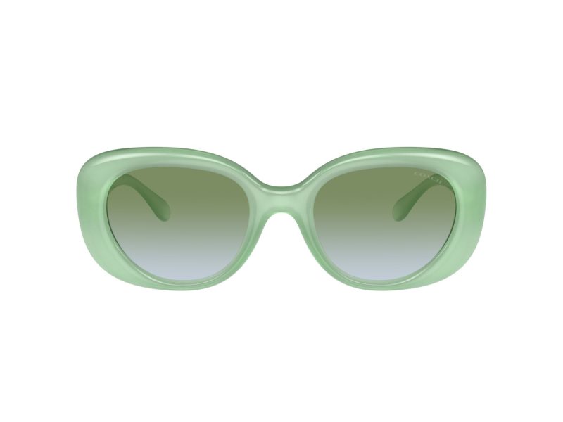 Coach Cr609 HC 8391U 5807I7 53 Women sunglasses