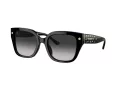 Coach Cr611 HC 8392U 50023C 53 Women sunglasses