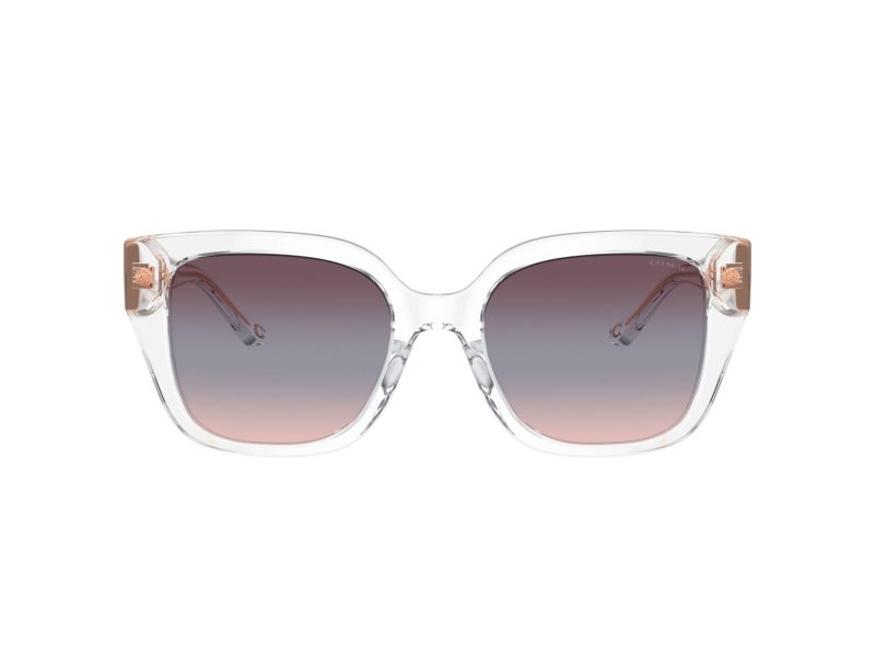 Coach Cr611 HC 8392U 51110J 53 Women sunglasses