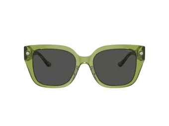 Coach Cr611 HC 8392U 581087 53 Women sunglasses
