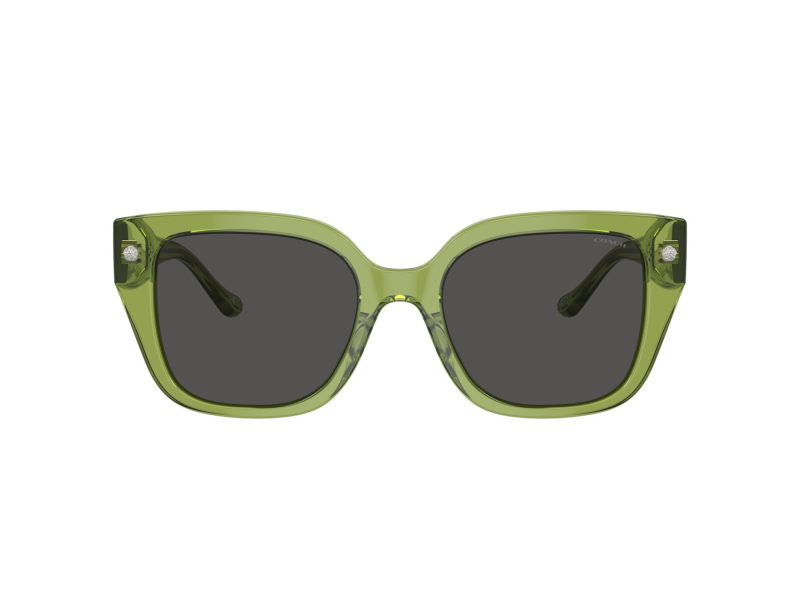 Coach Cr611 HC 8392U 581087 53 Women sunglasses