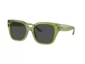 Coach Cr611 HC 8392U 581087 53 Women sunglasses