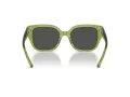 Coach Cr611 HC 8392U 581087 53 Women sunglasses