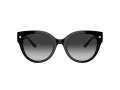 Coach Cr612 HC 8393U 50023C 53 Women sunglasses