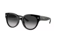 Coach Cr612 HC 8393U 50023C 53 Women sunglasses
