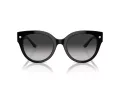 Coach Cr612 HC 8393U 50023C 53 Women sunglasses