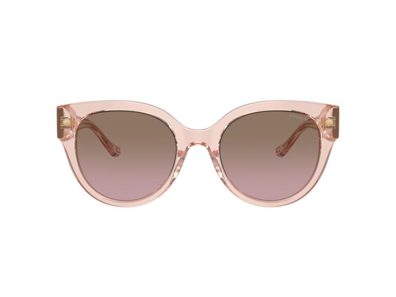 Coach Cr612 HC 8393U 566814 53 Women sunglasses