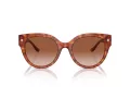 Coach Cr612 HC 8393U 577413 53 Women sunglasses
