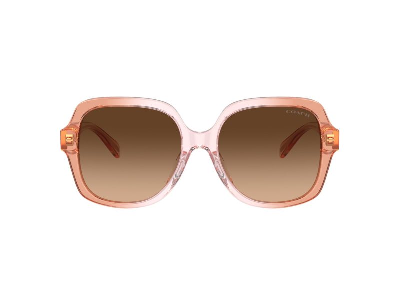 Coach Cr614 HC 8395U 581274 54 Women sunglasses