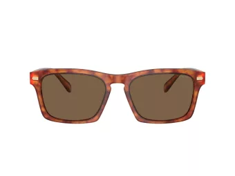 Coach Cr628 HC 8397U 577473 57 Men sunglasses