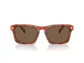 Coach Cr628 HC 8397U 577473 57 Men sunglasses