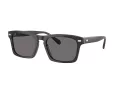 Coach Cr628 HC 8397U 581781 57 Men sunglasses